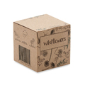 Seed ball growing kit