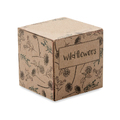 Seed ball growing kit