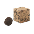 Herb seed ball in carton box
