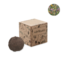 Seed ball growing kit